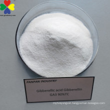 Plant hormone giberelline, giberelline 90%, natural plant hormone gibberellic acid